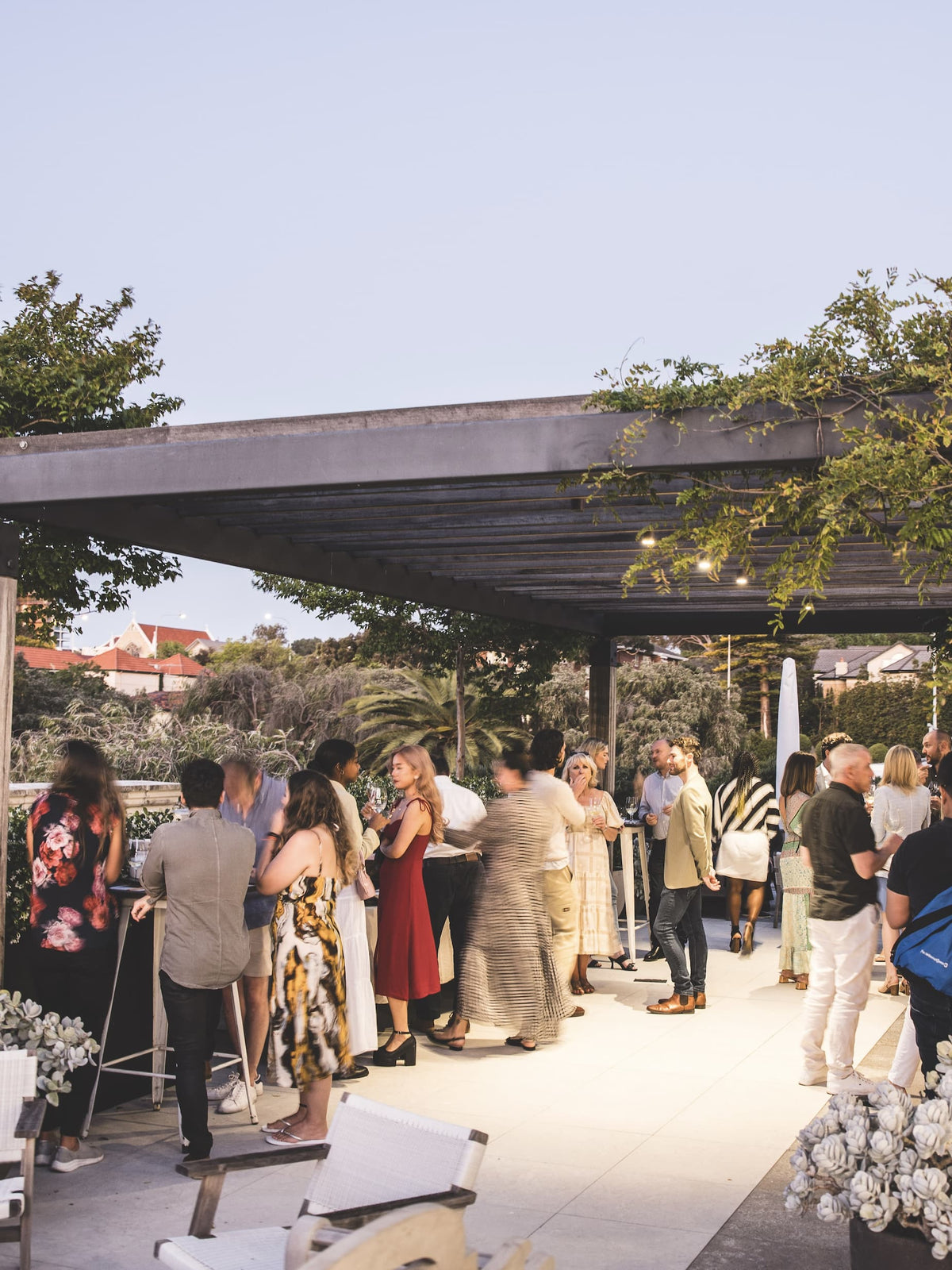 Rooftop Cellar Door
