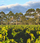 2022 Project Sparkling Rosé - View 2