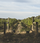2023 Cabernets - View 2
