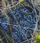 2025 Broadvale Block 1 Malbec - View 3