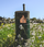 2022 Coastal Cabernet Sauvignon - View 2