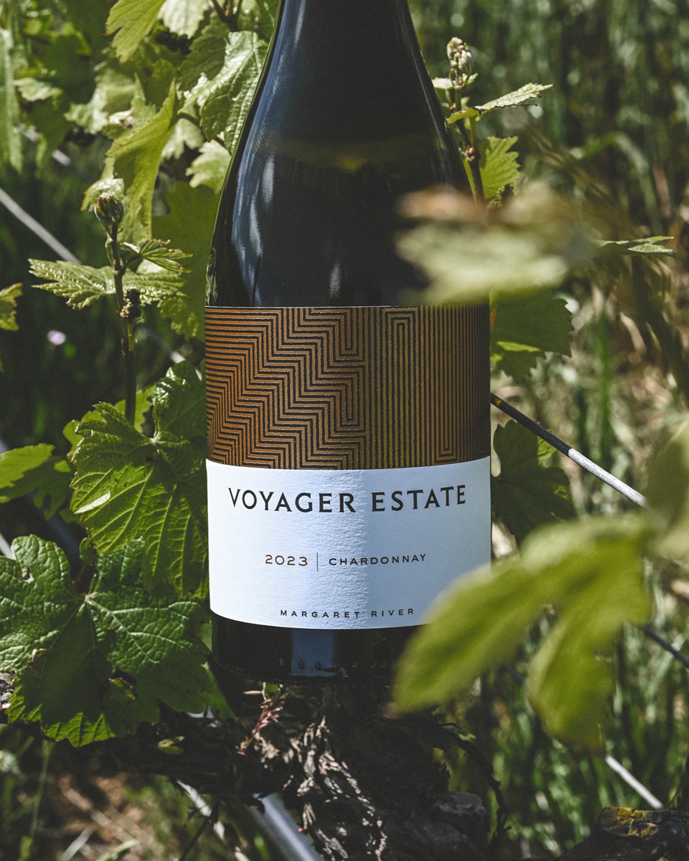 2023 Chardonnay